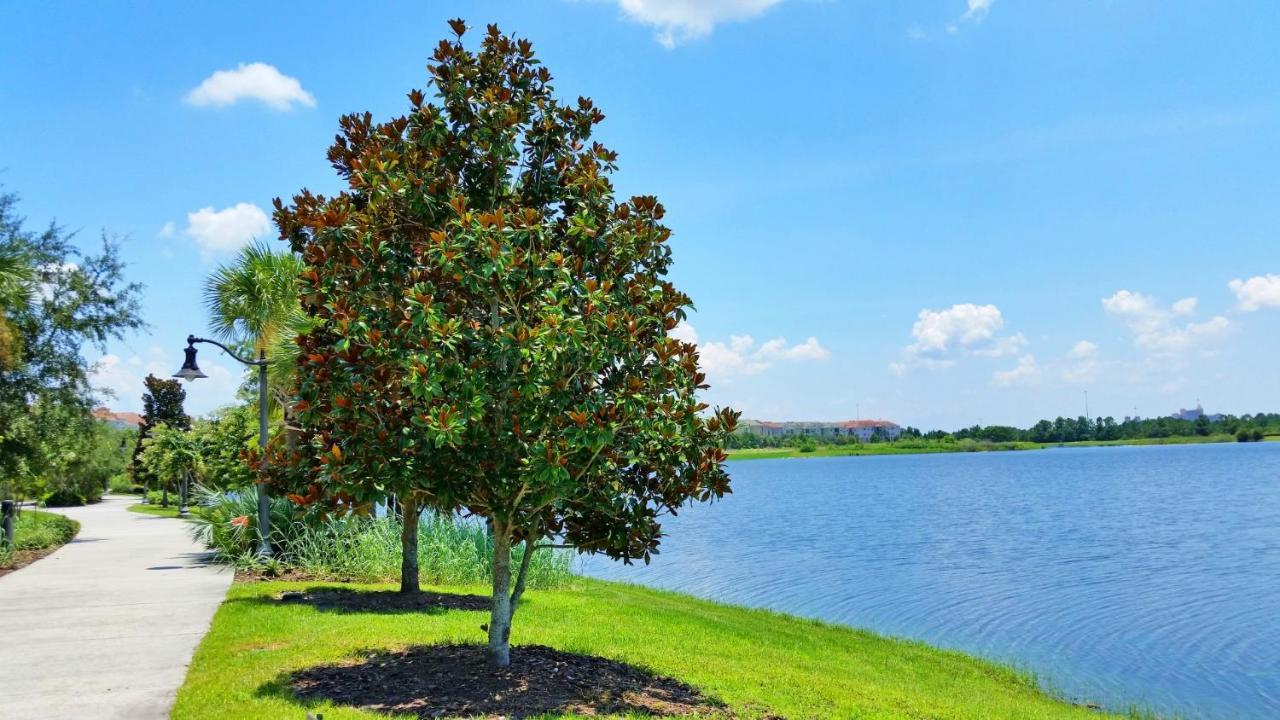 Ground-Floor Condo Next To Vista Cay Clubhouse And Pool! オーランド エクステリア 写真
